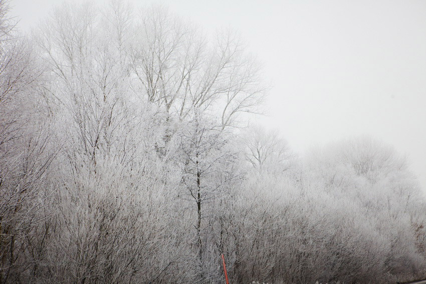Дорога из Вены в Хальштатт. Красивые зимние фотографии. Дорога из Вены в Хальштатт. Красивые зимние фотографии.
