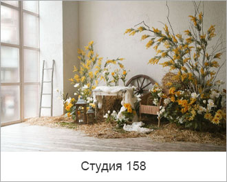 Лодка, синева, вода, лепнина, интерьер, новый год, рождество, окно, свет, воздух, лучи, солнце, красота, окна, дерево