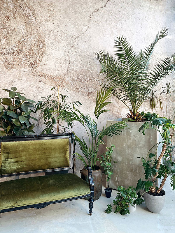 Фотостудия с живыми растениями
